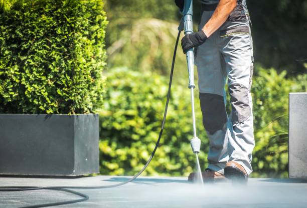 Best Building Exterior Washing  in Sands Point, NY